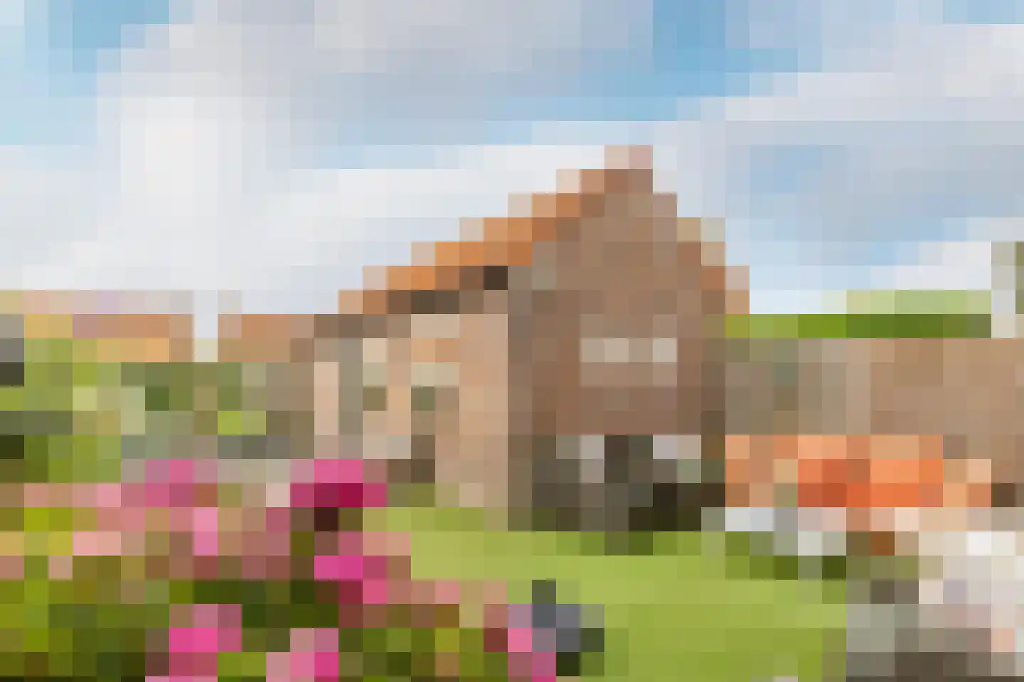 Weesmolenstraat 29 Ooltgensplaat thumbnail 4