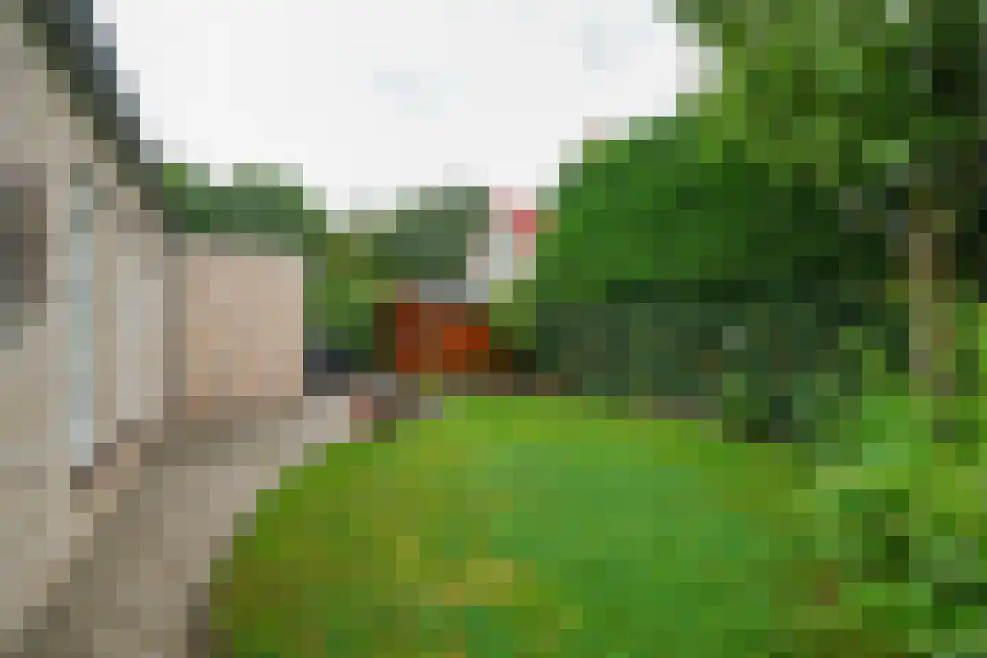 Weesmolenstraat 6 Ooltgensplaat thumbnail 11