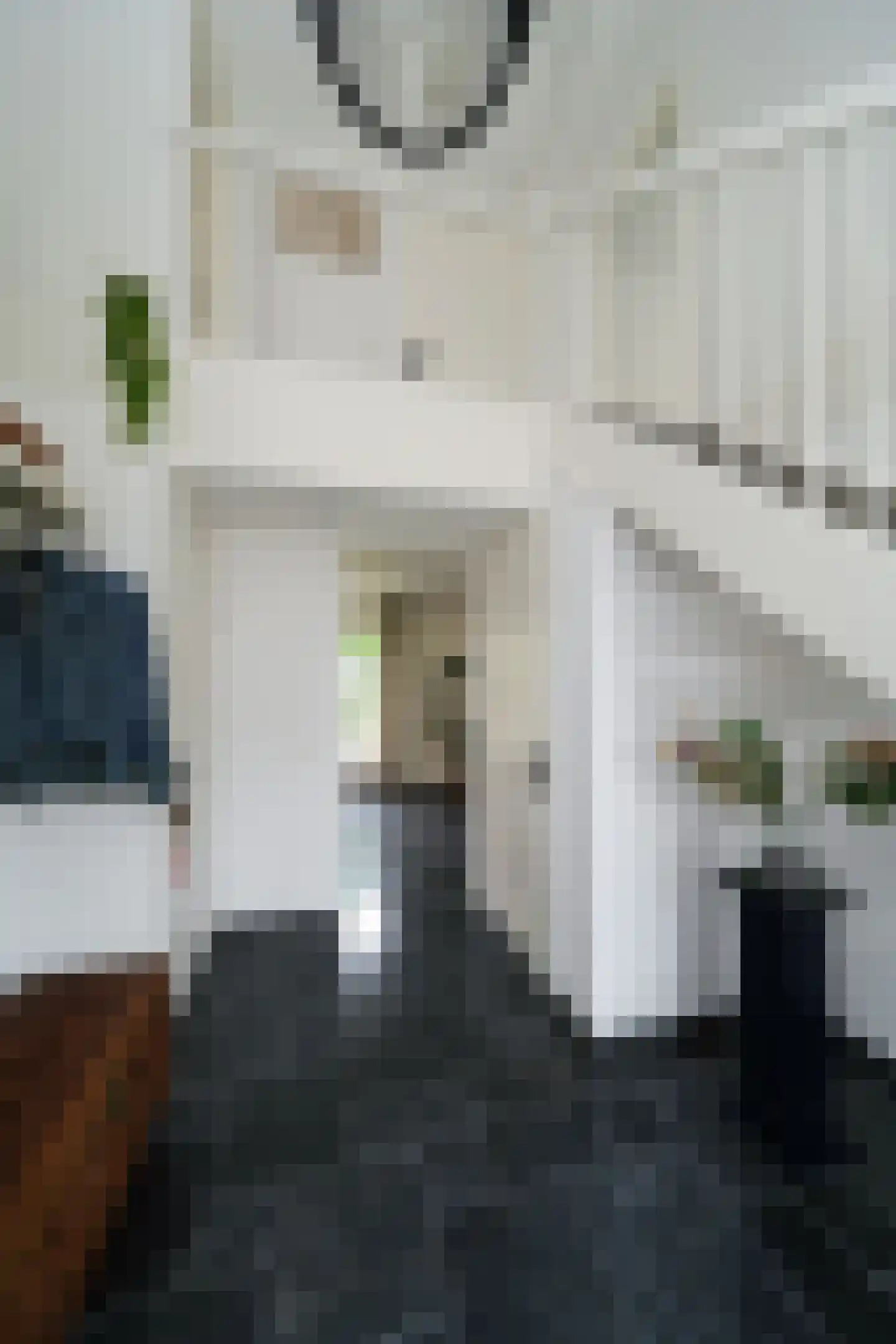 Weesmolenstraat 6 Ooltgensplaat thumbnail 18