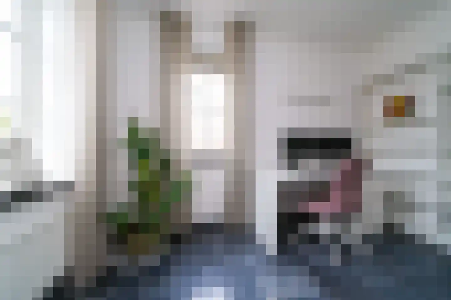 Weesmolenstraat 6 Ooltgensplaat thumbnail 19