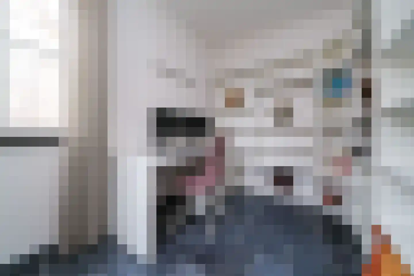 Weesmolenstraat 6 Ooltgensplaat thumbnail 20