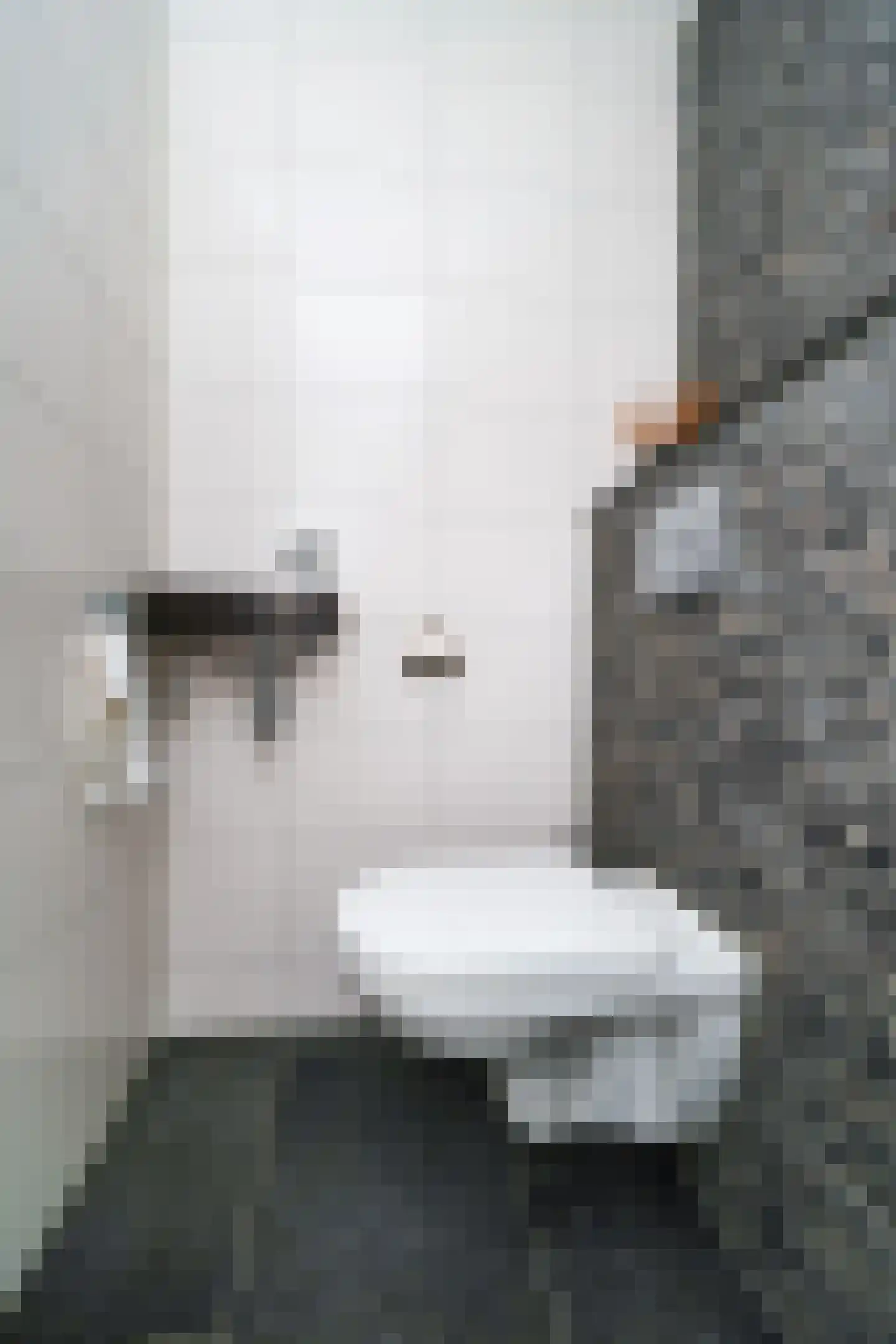 Weesmolenstraat 6 Ooltgensplaat thumbnail 21