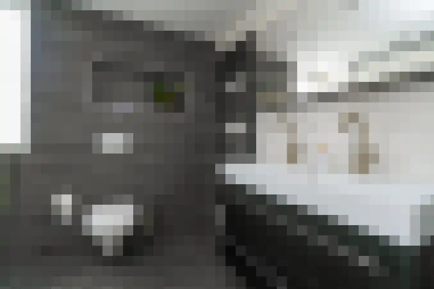Weesmolenstraat 6 Ooltgensplaat thumbnail 38
