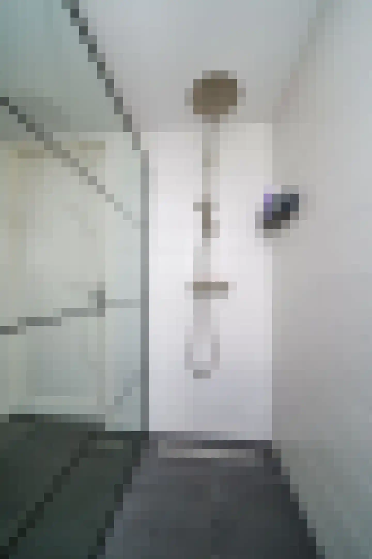 Weesmolenstraat 6 Ooltgensplaat thumbnail 41