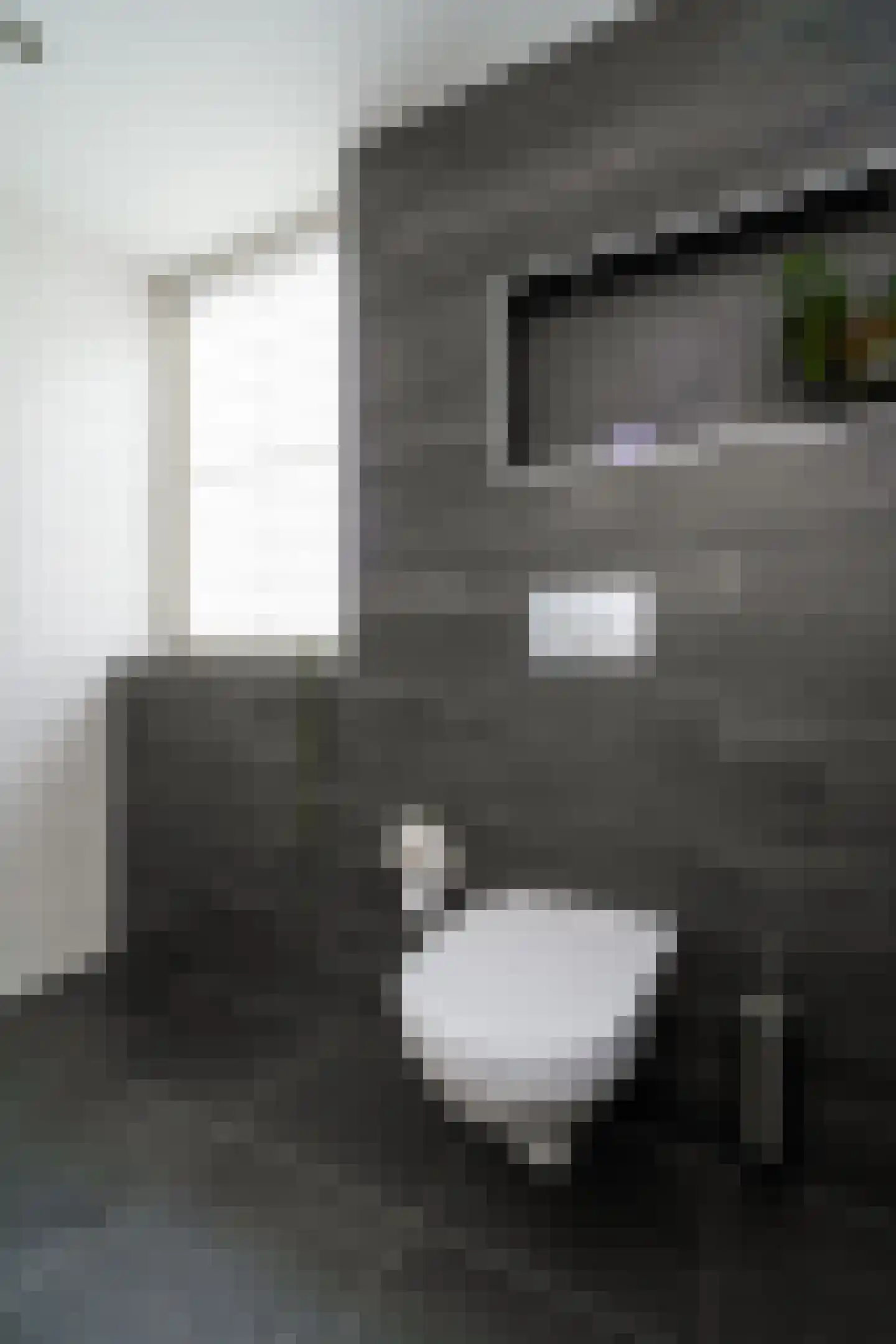 Weesmolenstraat 6 Ooltgensplaat thumbnail 43