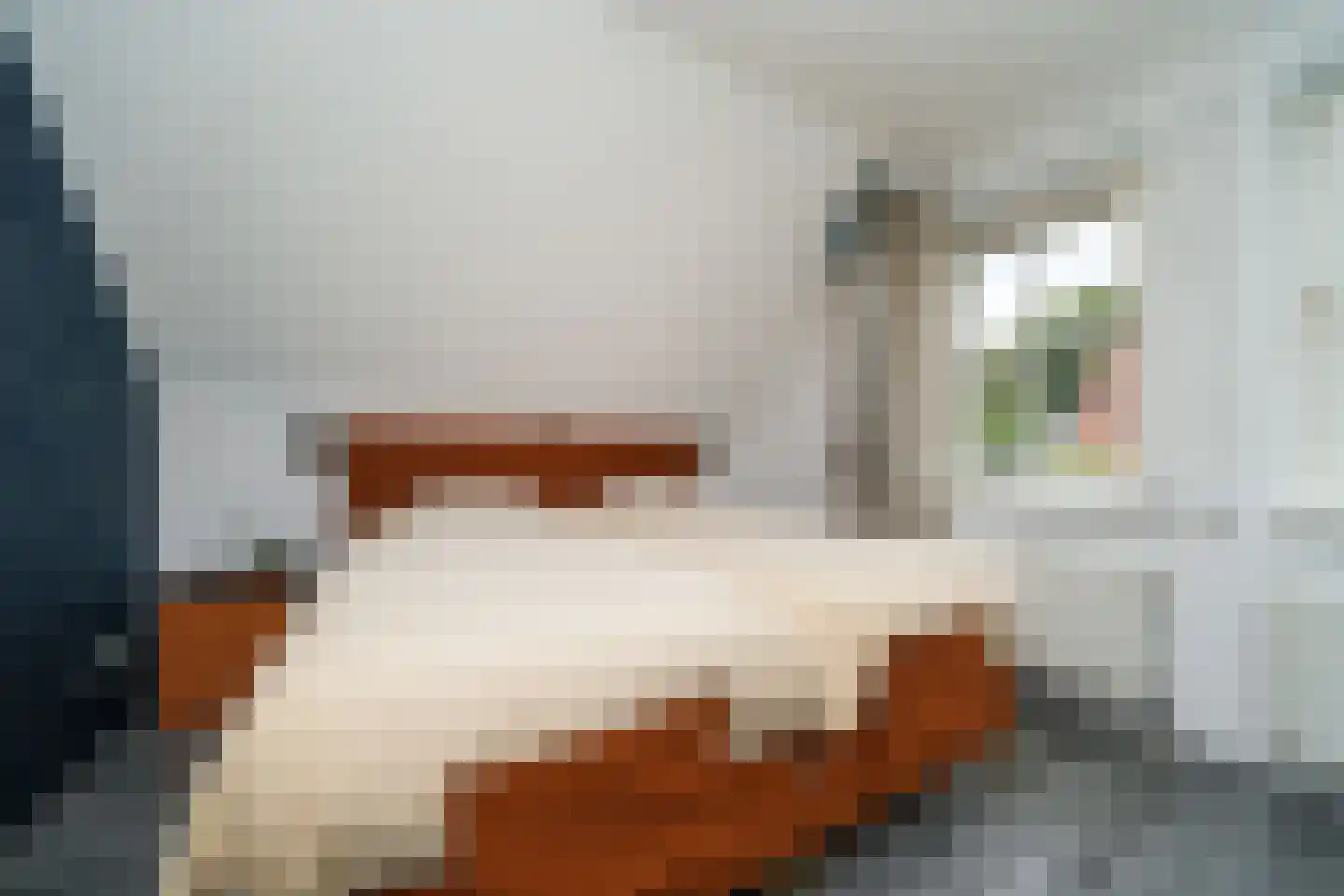 Weesmolenstraat 6 Ooltgensplaat thumbnail 48