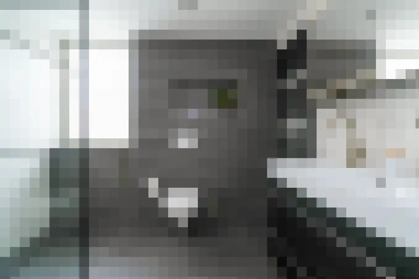 Weesmolenstraat 6 Ooltgensplaat thumbnail 5