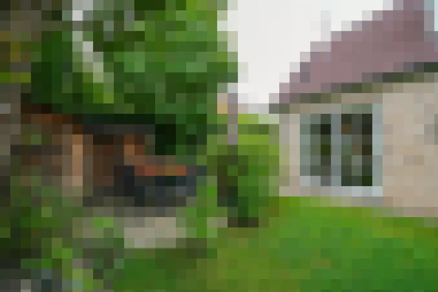 Weesmolenstraat 6 Ooltgensplaat thumbnail 7
