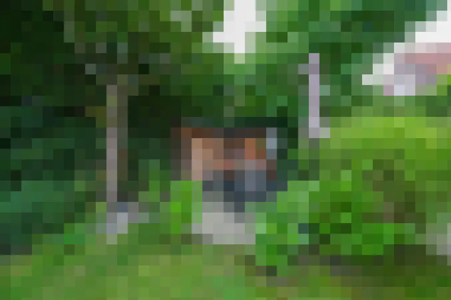Weesmolenstraat 6 Ooltgensplaat thumbnail 8