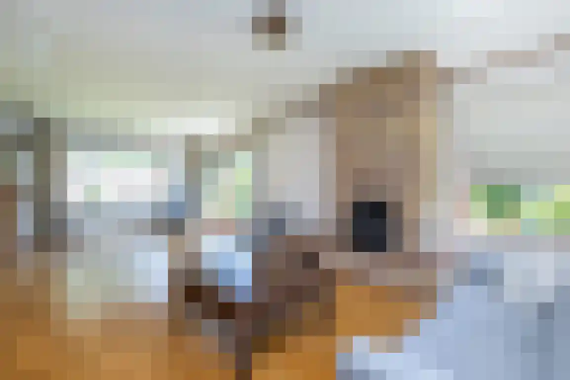 Weesmolenstraat 8 Ooltgensplaat thumbnail 10