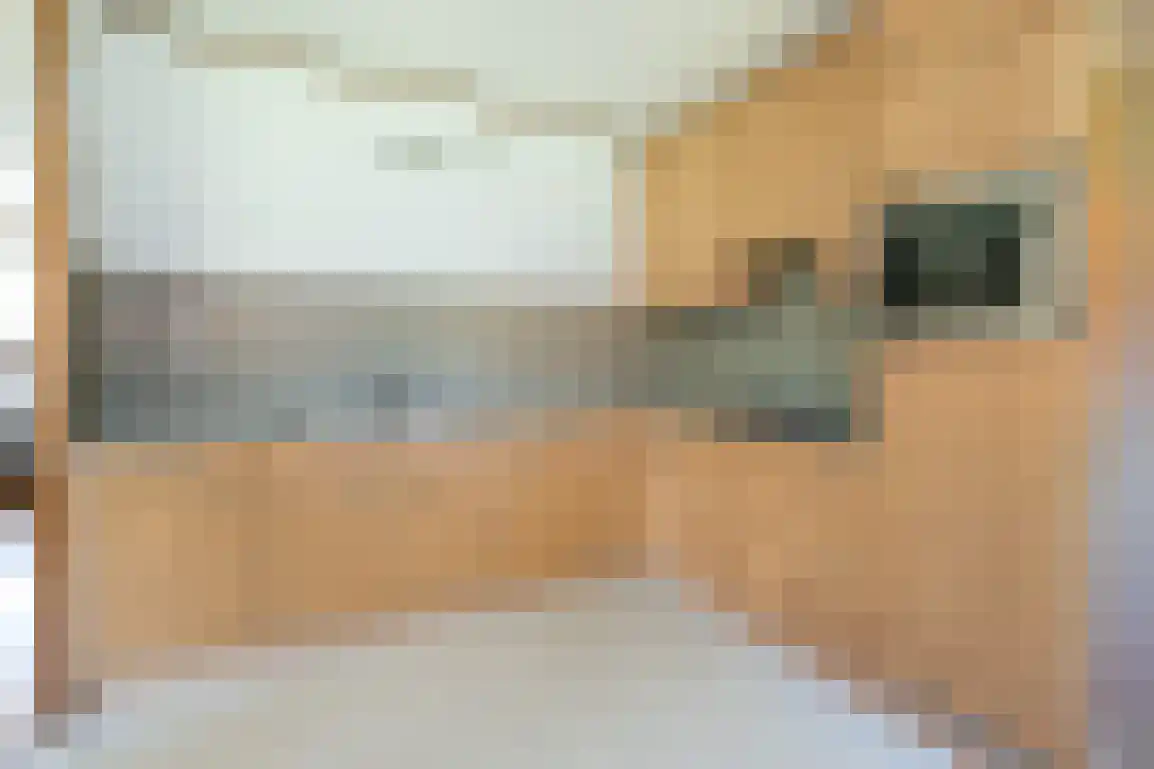 Weesmolenstraat 8 Ooltgensplaat thumbnail 16