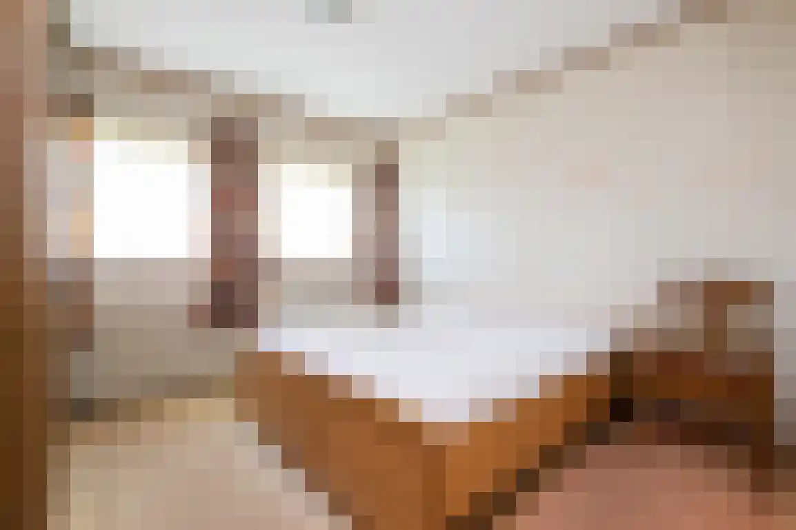 Weesmolenstraat 8 Ooltgensplaat thumbnail 19