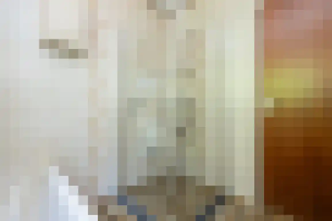 Weesmolenstraat 8 Ooltgensplaat thumbnail 22