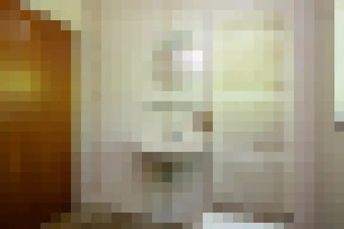 Weesmolenstraat 8 Ooltgensplaat thumbnail 23