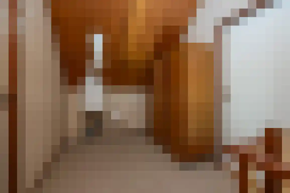 Weesmolenstraat 8 Ooltgensplaat thumbnail 25