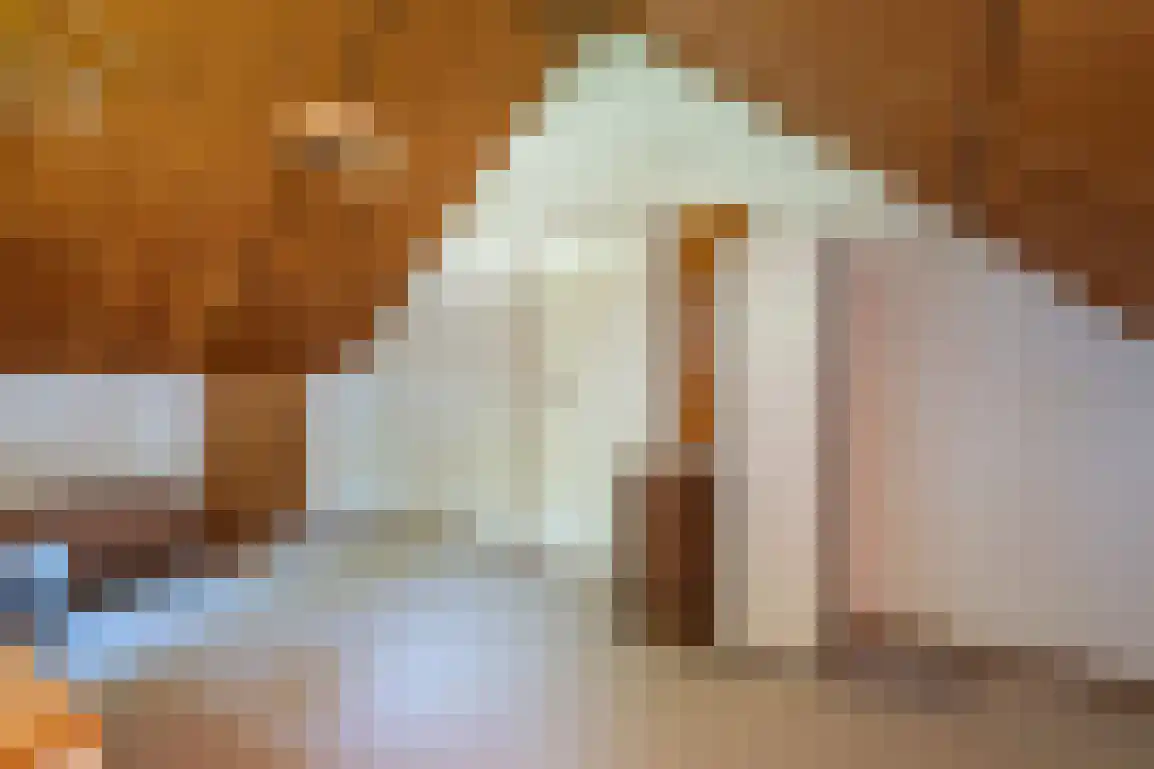Weesmolenstraat 8 Ooltgensplaat thumbnail 29