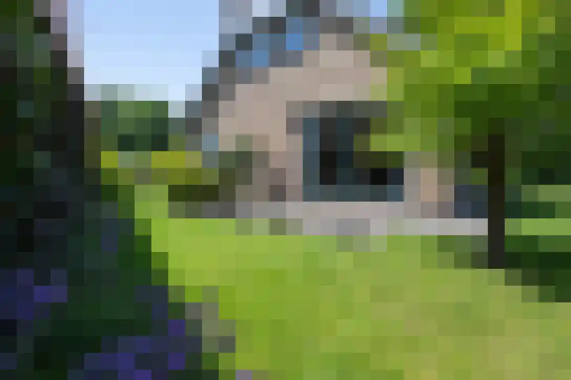 Weesmolenstraat 8 Ooltgensplaat thumbnail 36