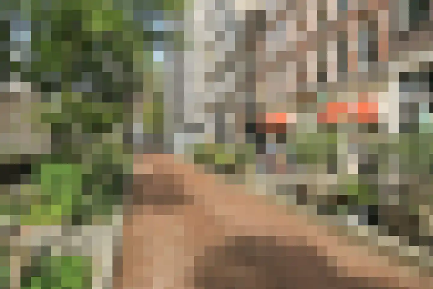 Weesperplein 13 2 Amsterdam thumbnail 23