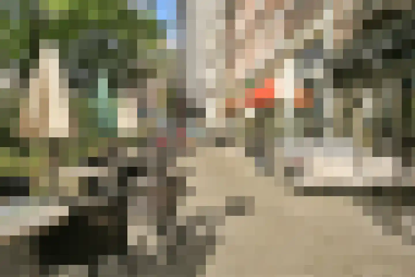 Weesperplein 13 2 Amsterdam thumbnail 25