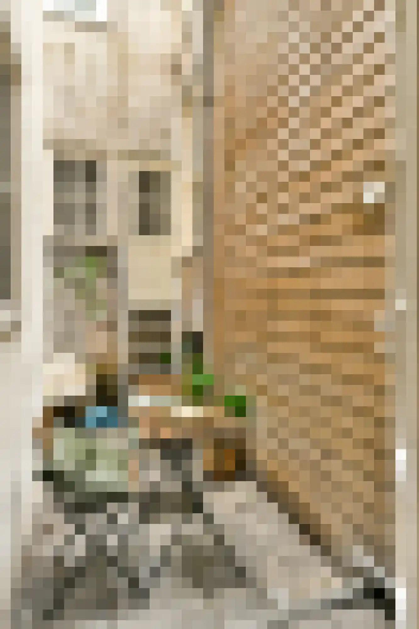 Weesperplein 17 A Amsterdam thumbnail 16