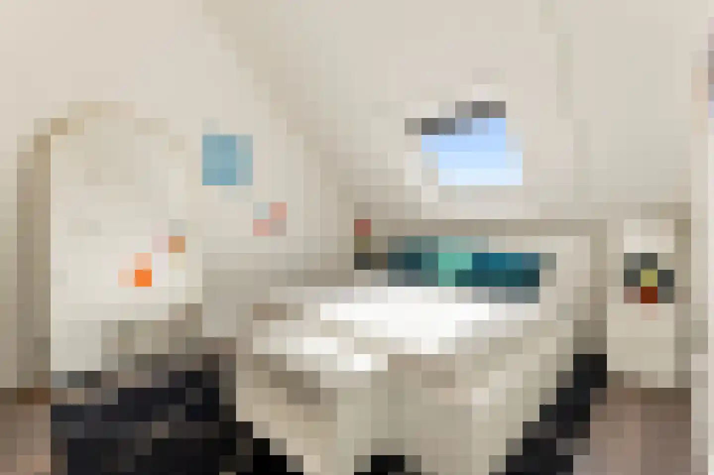 Weespersluiskade 84 Weesp thumbnail 31