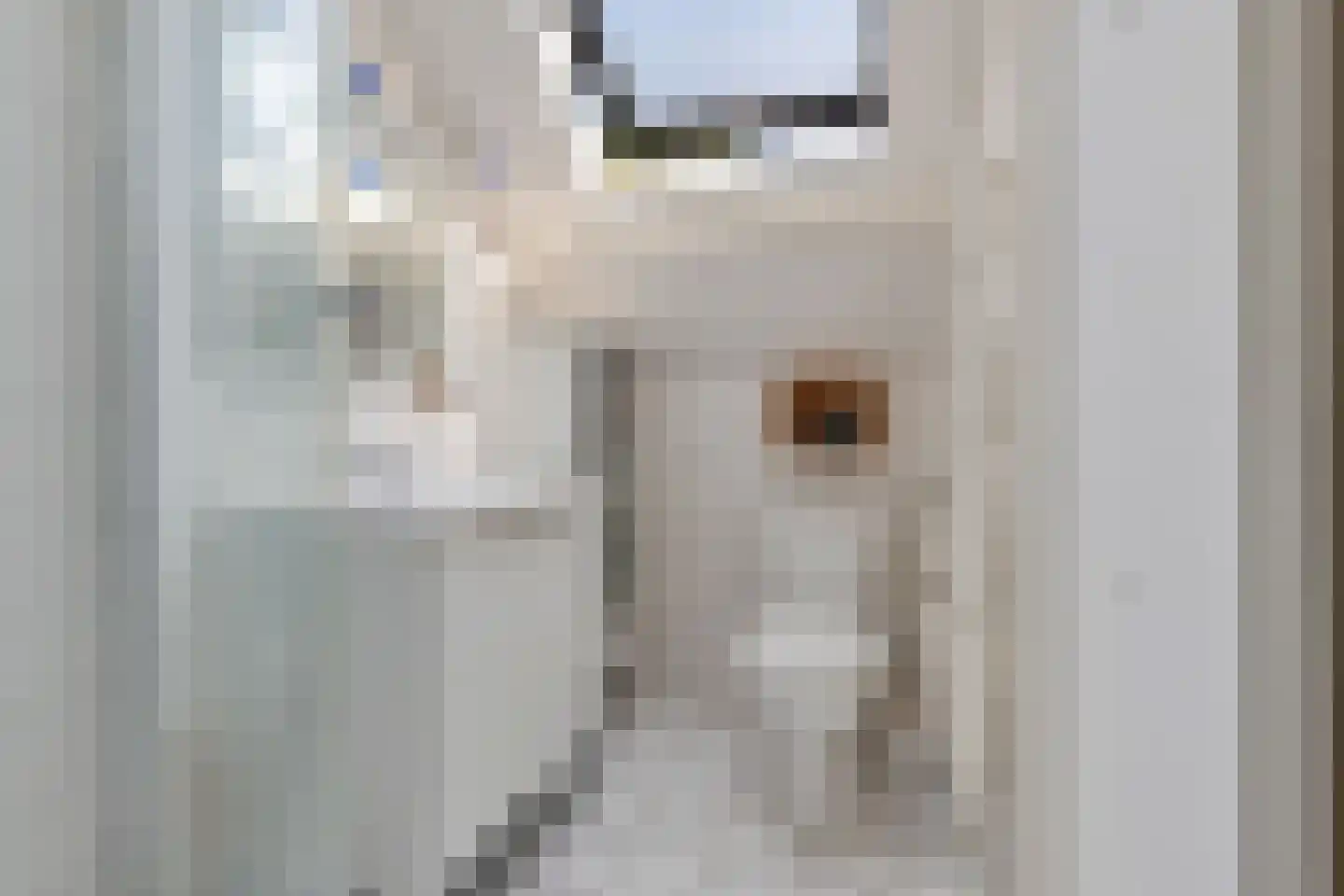 Weesperstraat 46 Muiden thumbnail 21