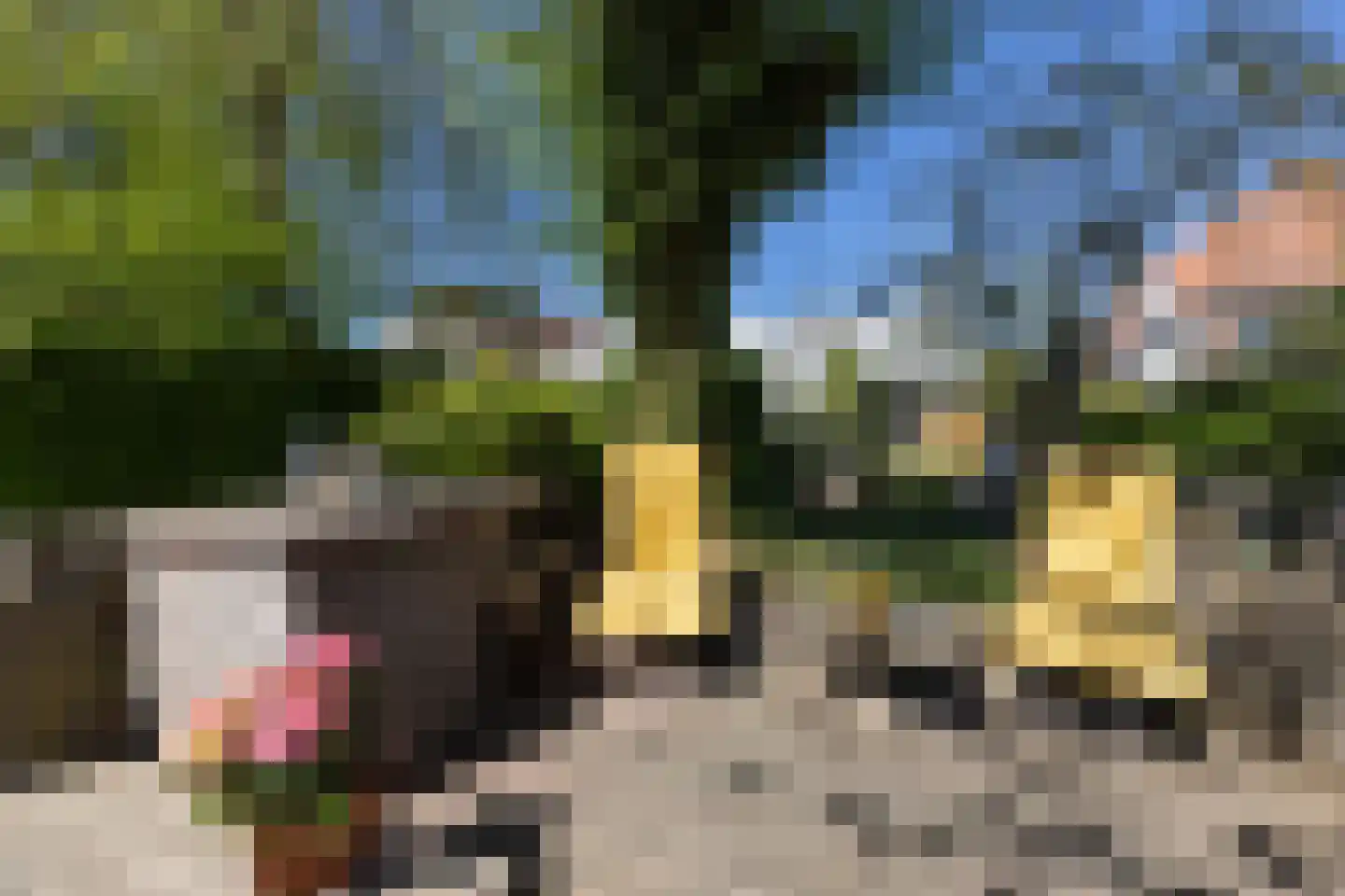 Weesperstraat 61 Muiden thumbnail 10