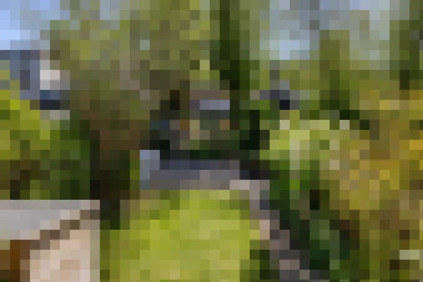 Weesperstraat 61 Muiden thumbnail 8