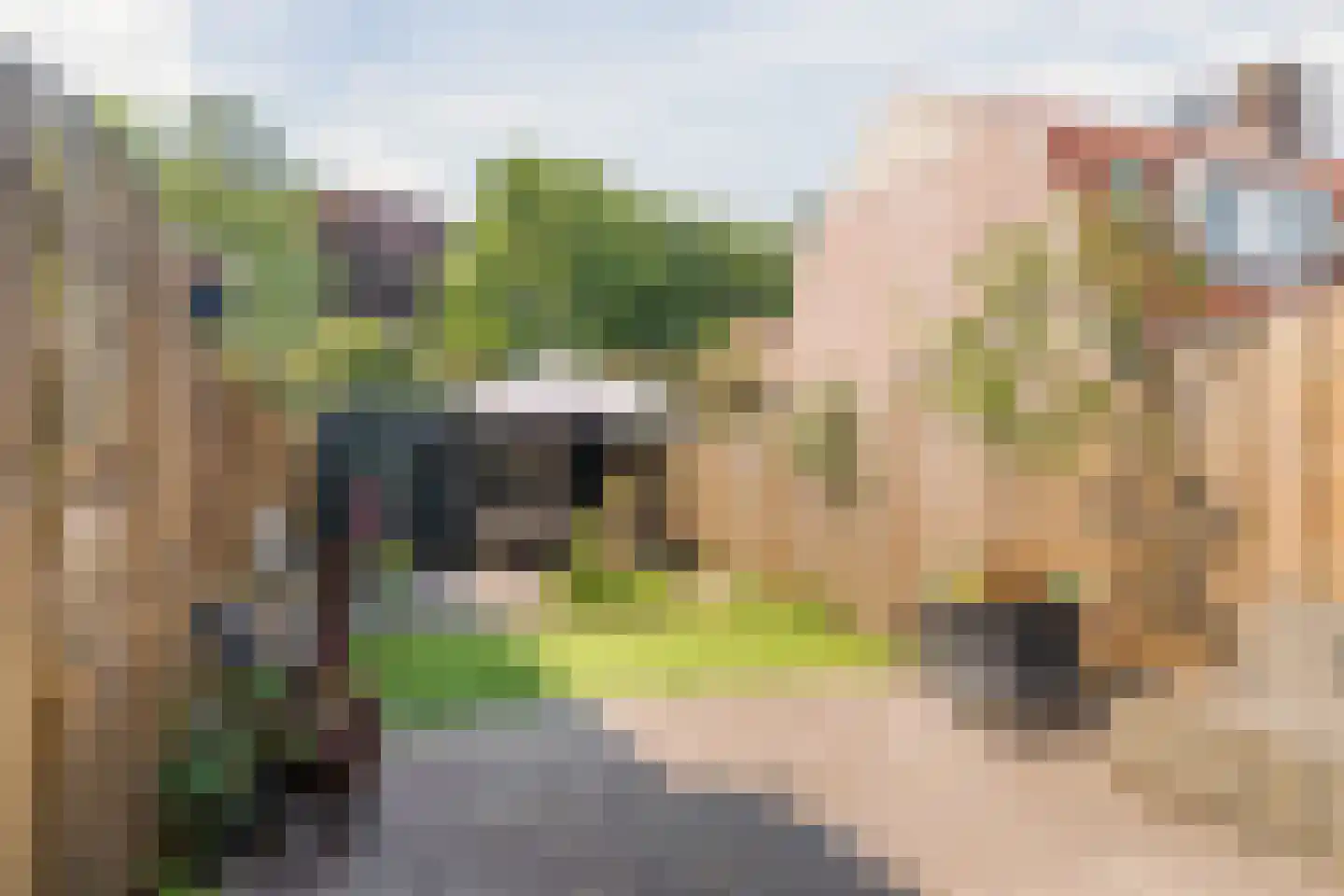 Weesperstraat 72 Muiden thumbnail 27
