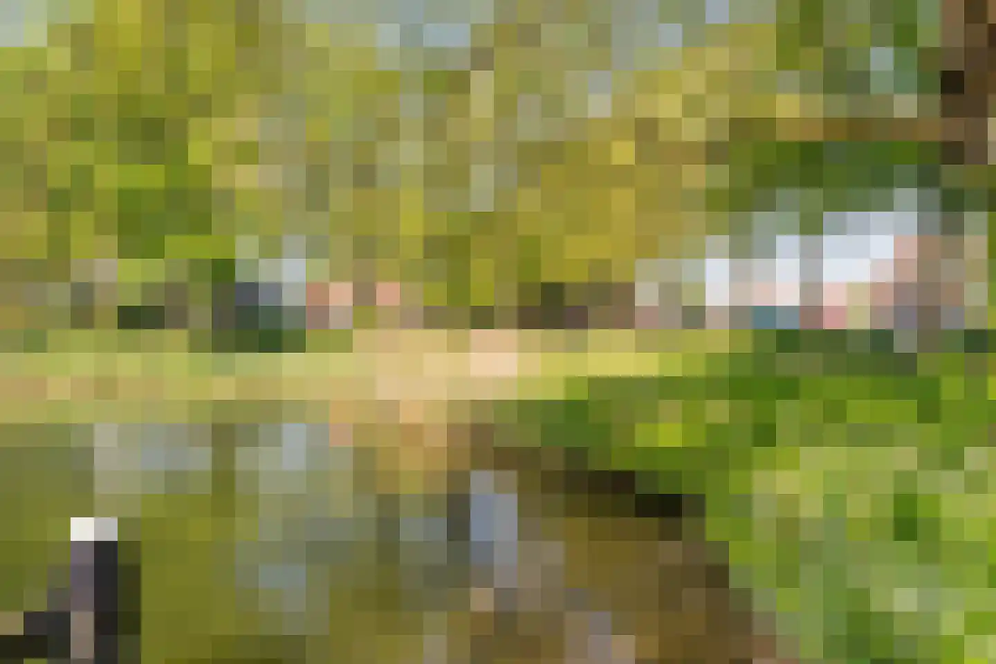 Weesperstraat 72 Muiden thumbnail 36