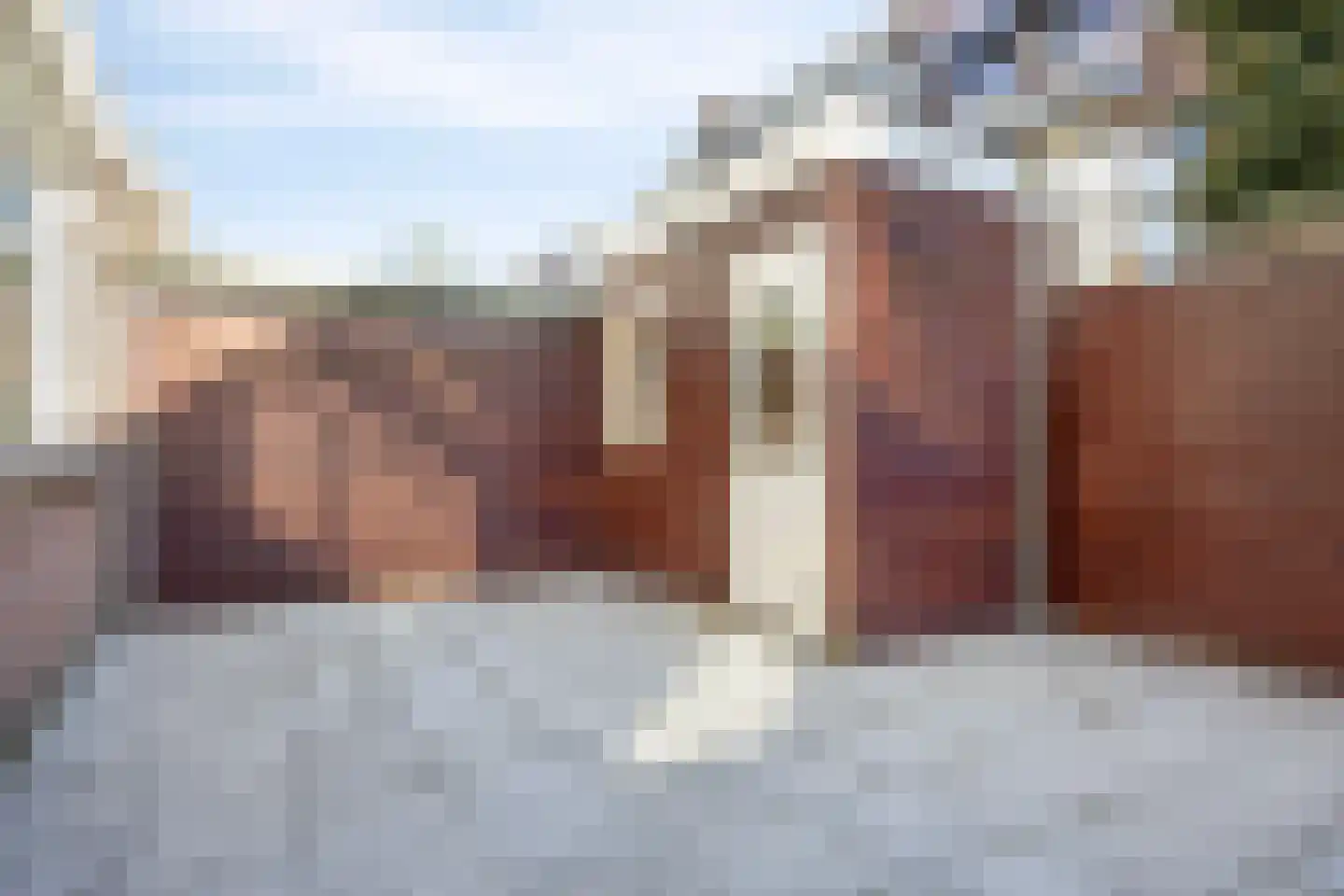 Weesperstraat 90 Den Haag thumbnail 5