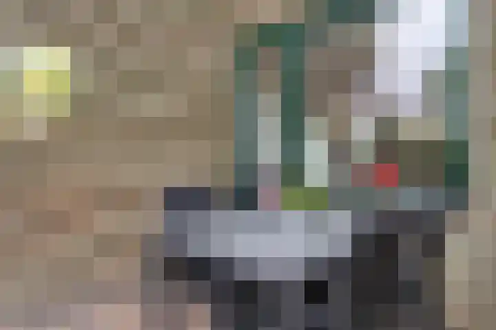 Weesperveste 30 Nieuwegein thumbnail 24