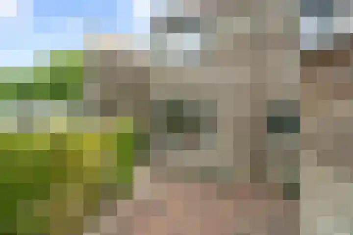 Weesperveste 30 Nieuwegein thumbnail 39