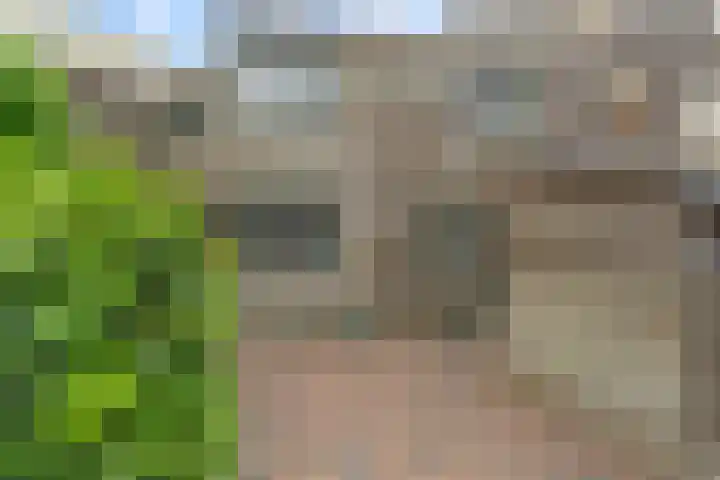 Weesperveste 30 Nieuwegein thumbnail 44