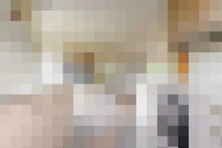 Weesperveste 7 Nieuwegein thumbnail 13