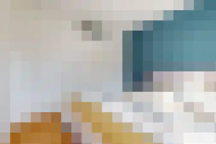 Weesperveste 7 Nieuwegein thumbnail 23