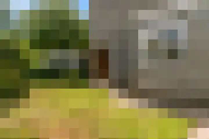 Weesperveste 7 Nieuwegein thumbnail 25