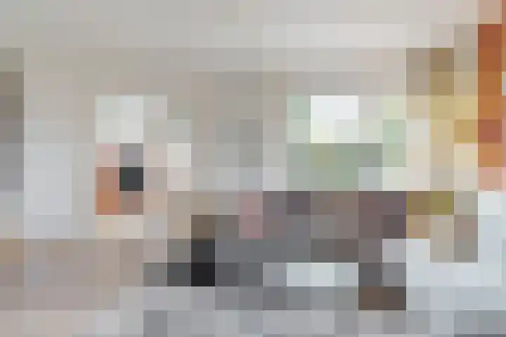 Weesperveste 7 Nieuwegein thumbnail 8