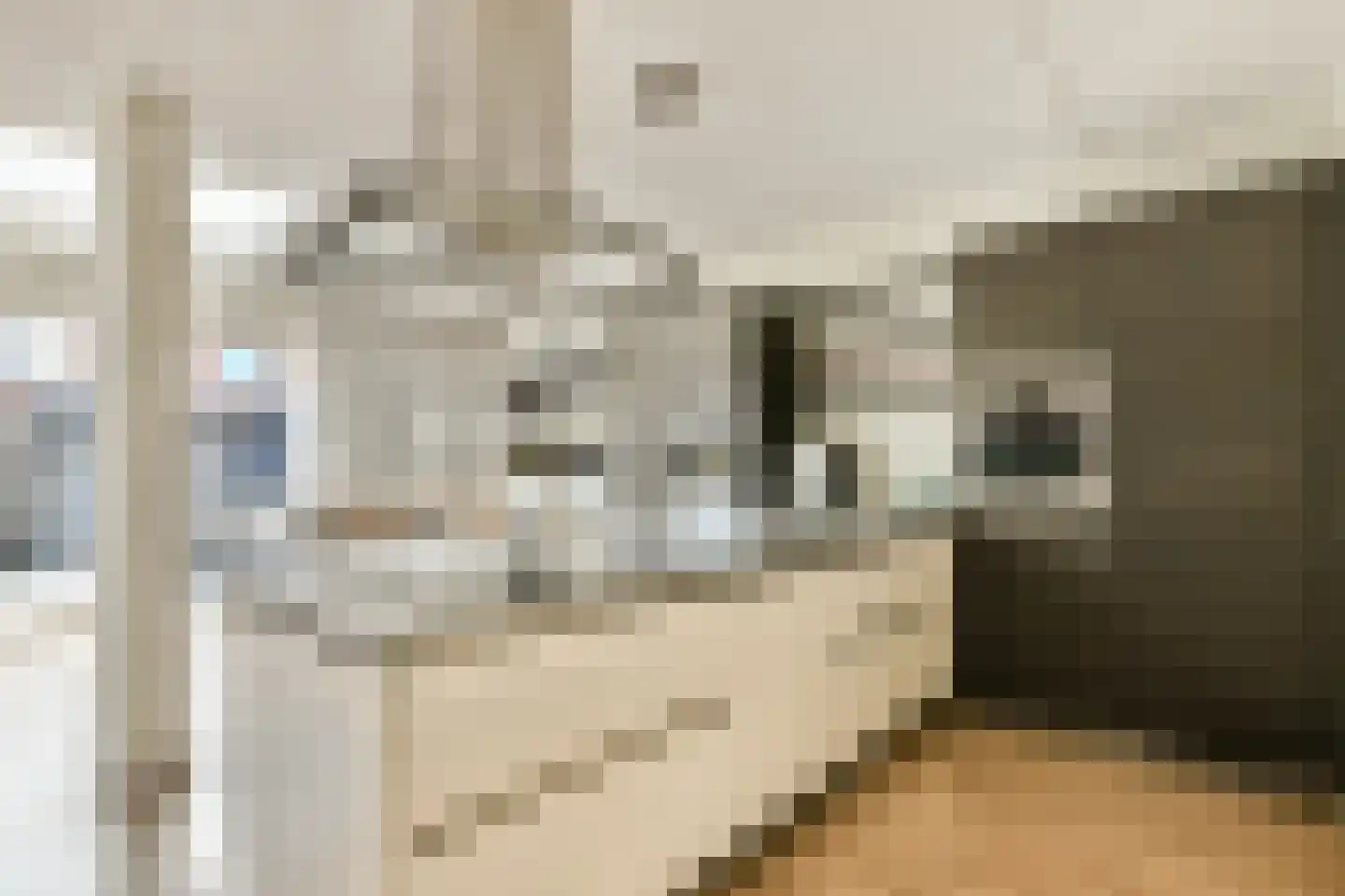 Weesperzandpad 10 Diemen thumbnail 11
