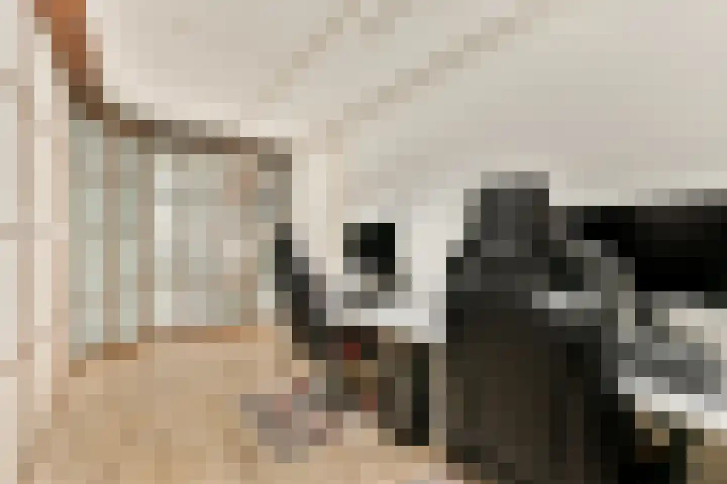 Weesperzandpad 10 Diemen thumbnail 38