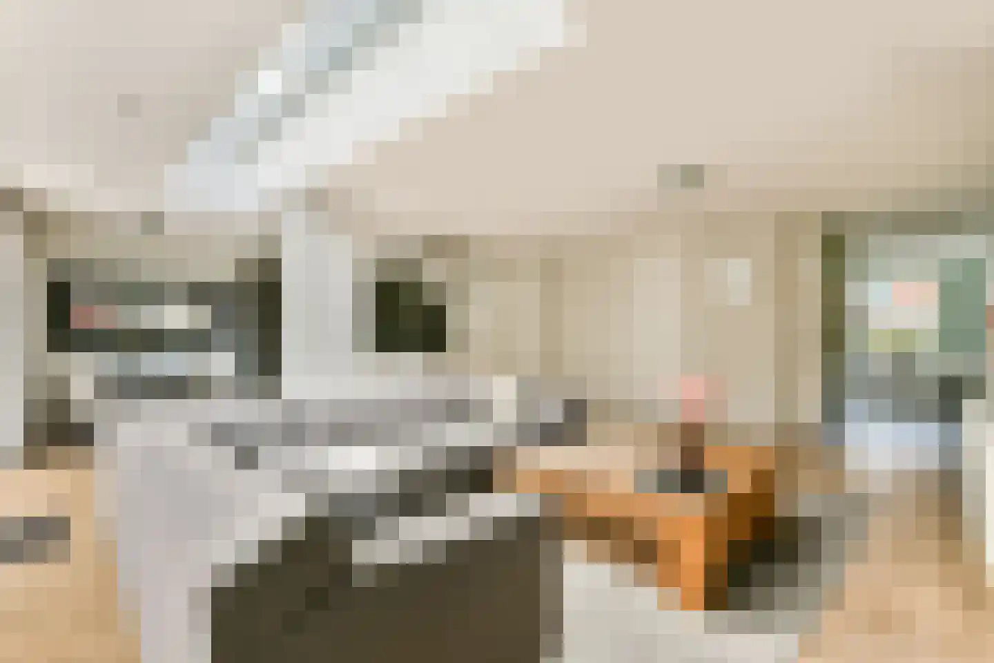 Weesperzandpad 10 Diemen thumbnail 7