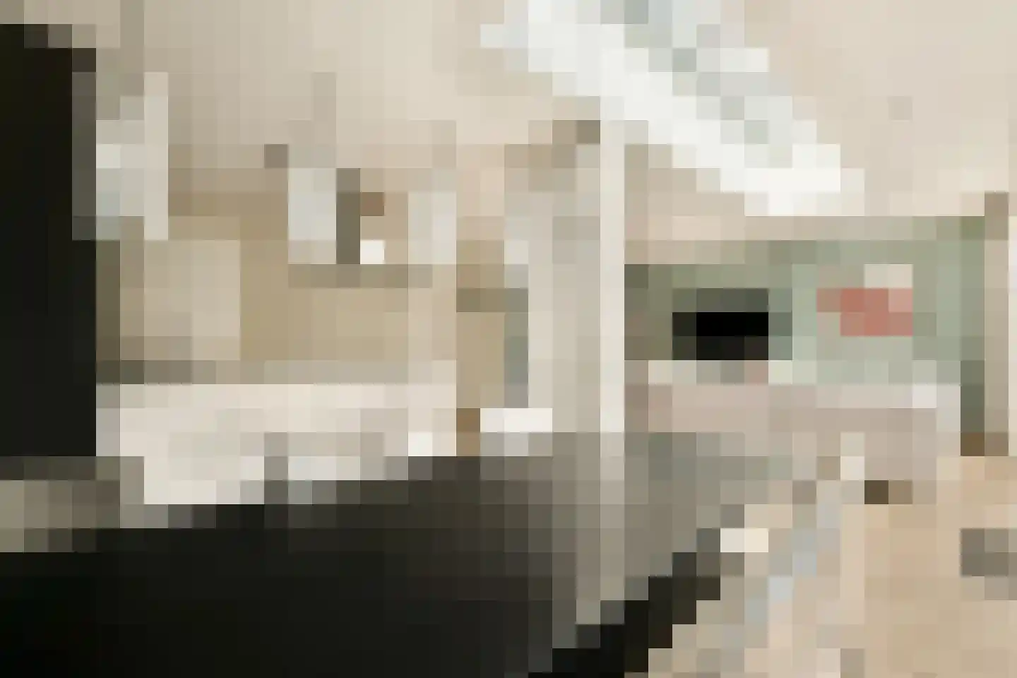 Weesperzandpad 10 Diemen thumbnail 9