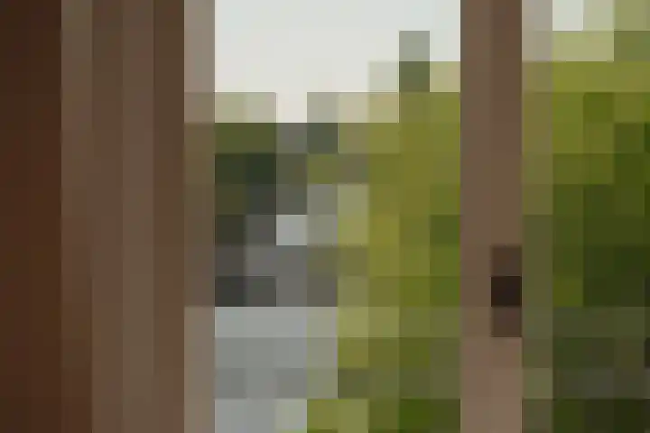 Weesperzijde 122 E Amsterdam thumbnail 10