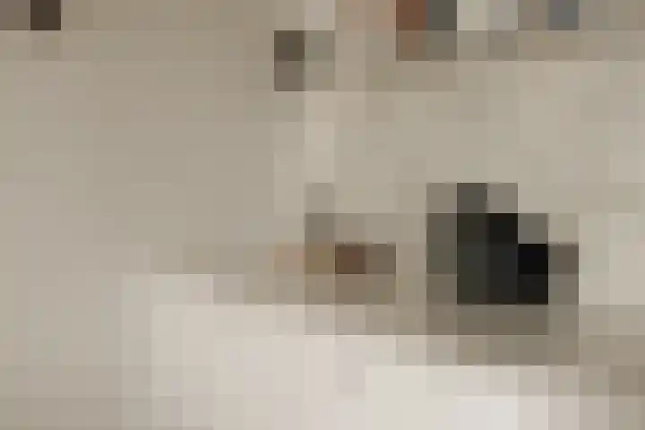 Weesperzijde 122 E Amsterdam thumbnail 5