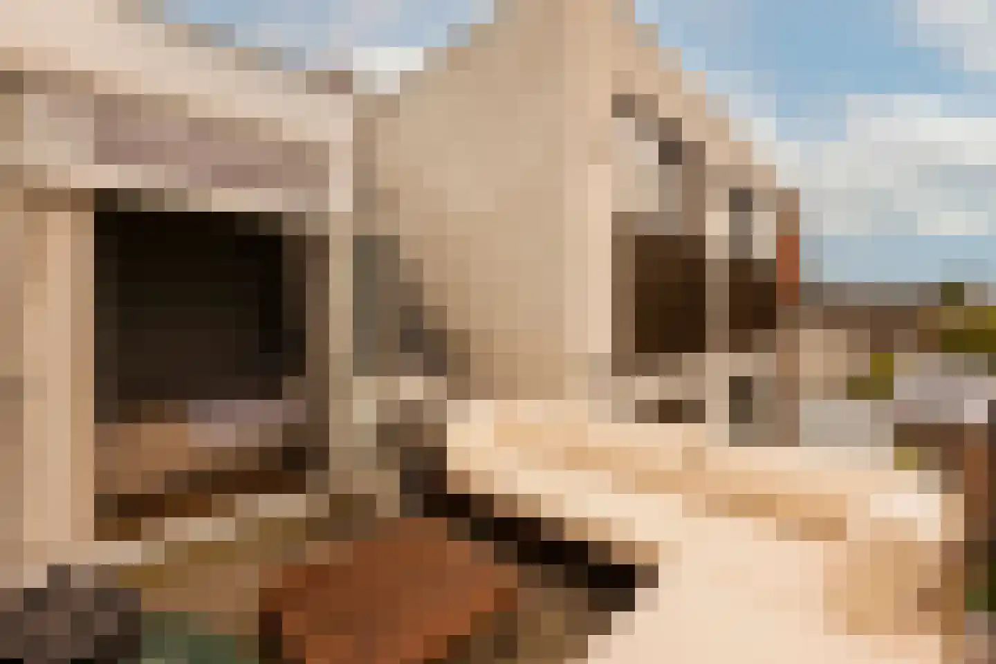 Weesperzijde 123 2 Amsterdam thumbnail 26