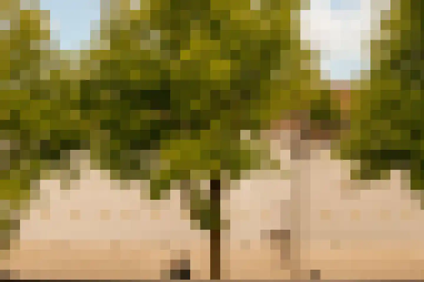 Weesperzijde 123 2 Amsterdam thumbnail 41