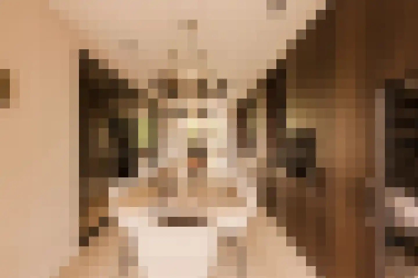 Weesperzijde 123 2 Amsterdam thumbnail 9
