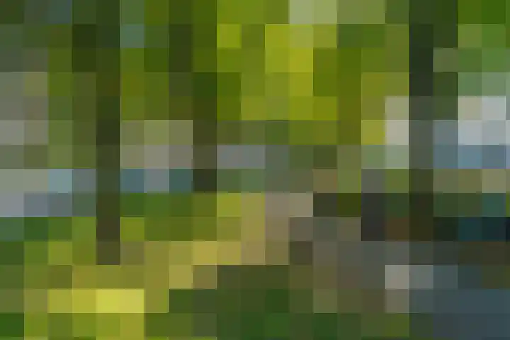 Weesperzijde 132 1 Amsterdam thumbnail 22