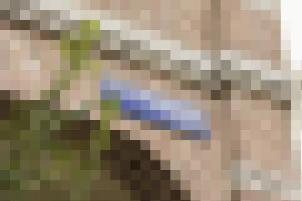 Weesperzijde 15 2 Amsterdam thumbnail 36