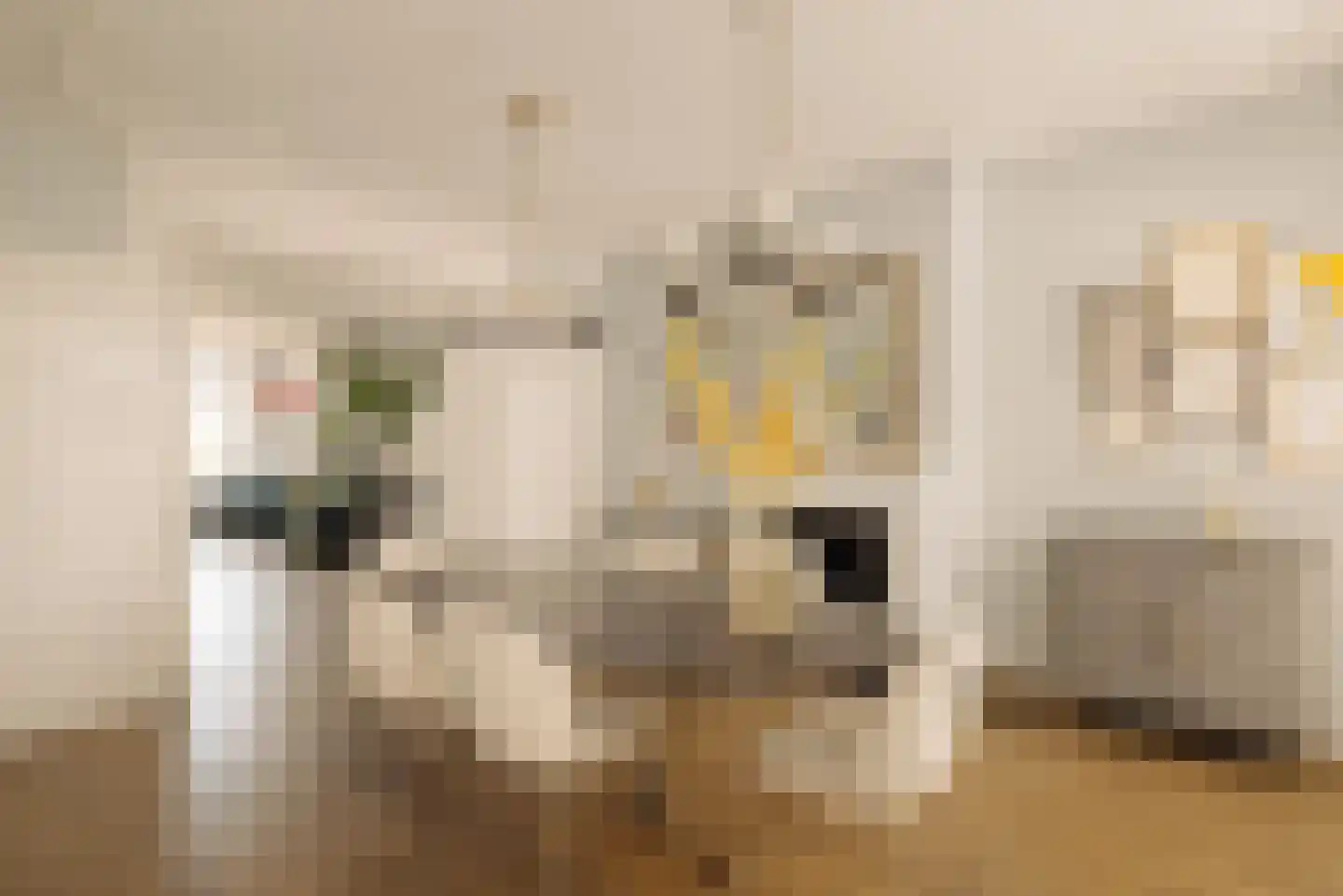 Weesperzijde 83 2 Amsterdam thumbnail 24